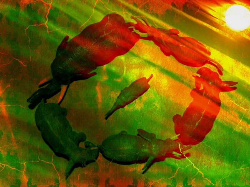 Elephants Digital Artworks